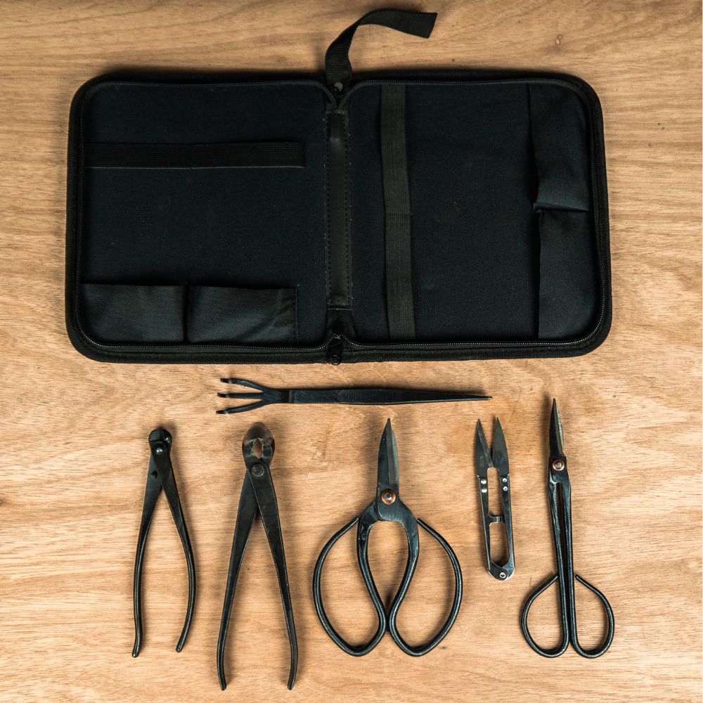 Scharen en tangenset (bestaand uit 3x scharen, 2x tangen, 1x hark en 1x opbergmap met rits)