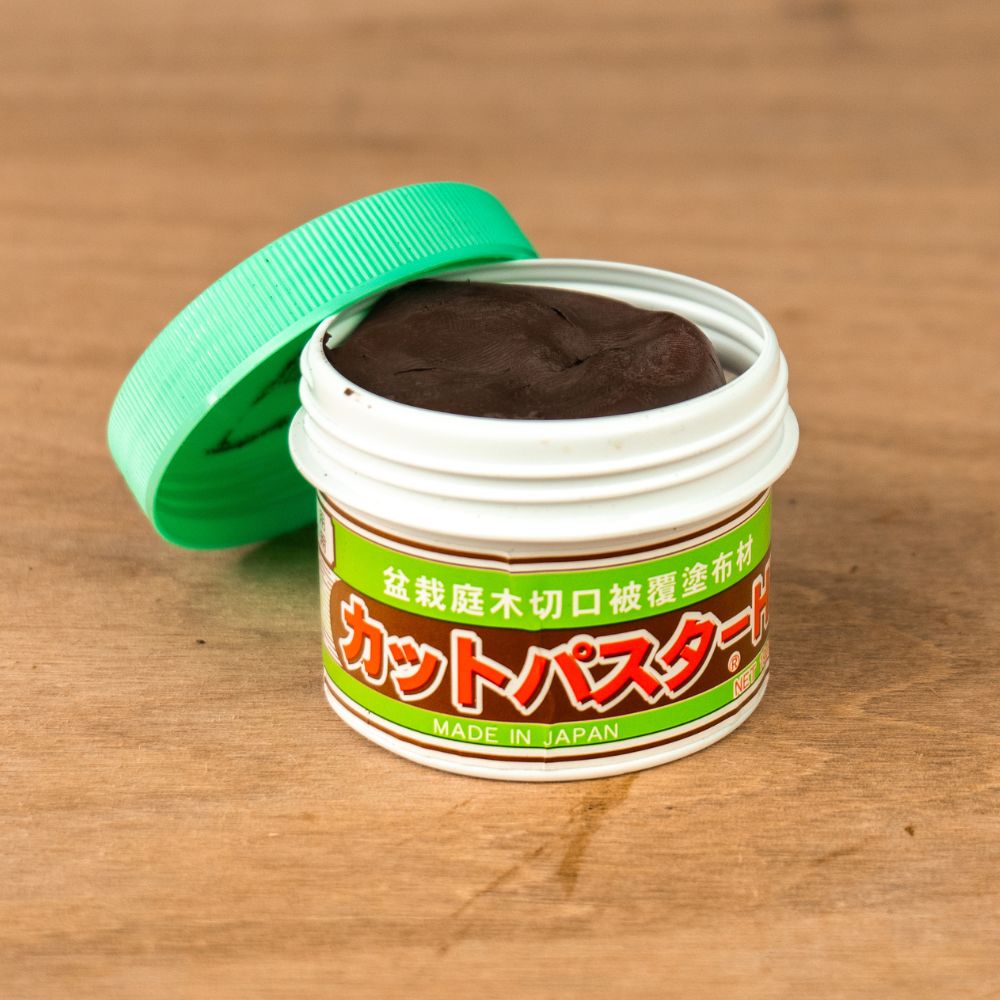 Bonsai wound paste (for conifers)