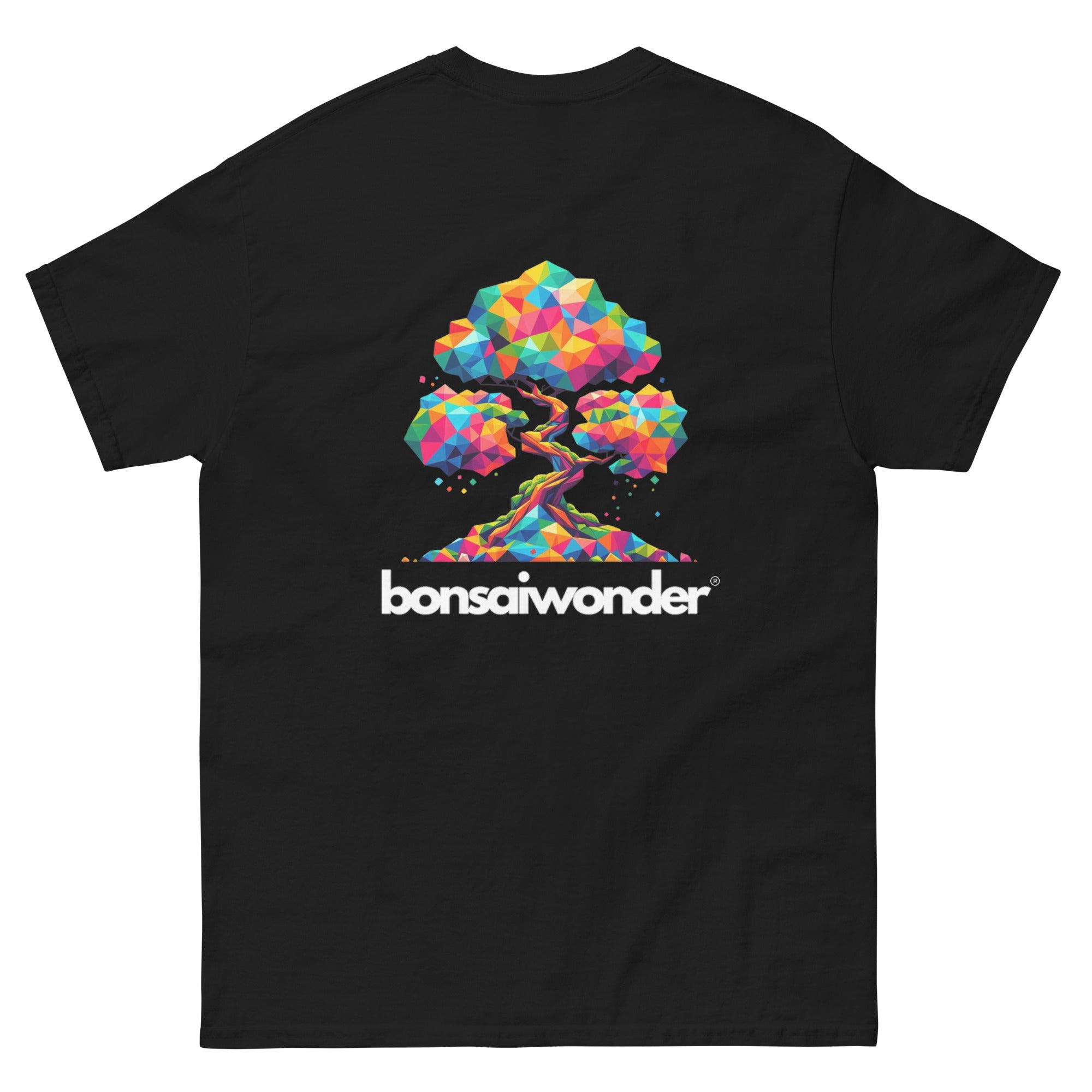 Heavy men's T-shirt